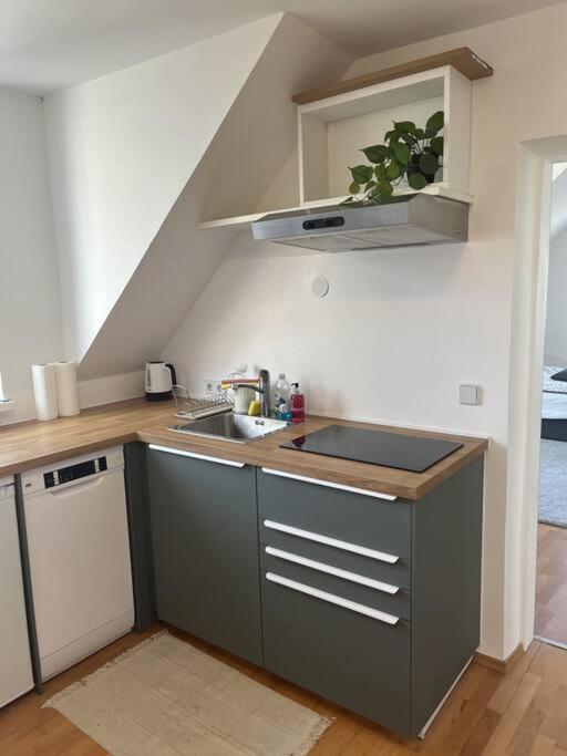 Cozy City Center Apartment Graz Bagian luar foto